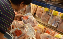 Kiến nghị chưa giảm thuế nhập khẩu 'cứu' chăn nuôi gia cầm