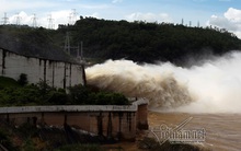 1,5 năm không được duyệt dự án, EVN báo gấp lên Thủ tướng