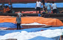 Trung Quốc tăng thuế nhập khẩu sắn từ Việt Nam