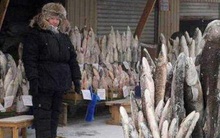 Thành phố lạnh lẽo nhất thế giới: Âm 64 độ, ngoài chợ chỉ bán 1 loại thực phẩm duy nhất