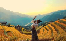 HOT: Ruộng bậc thang Mù Cang Chải vừa được công nhận Di tích Quốc gia đặc biệt, dự sẽ ngày càng hot trên bản đồ du lịch Việt