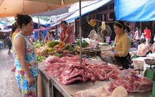 Giá thịt lợn đang giảm dần trước Tết Nguyên đán