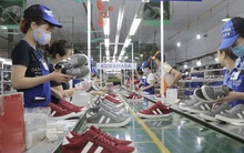 Năm thành công của ngành da giày