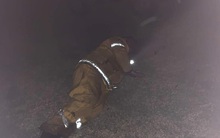 Người lính cứu hỏa nằm chợp mắt trên bãi cỏ sau 12 tiếng làm việc liên tục trong thảm hoạ cháy rừng ở Úc khiến ai cũng xót xa