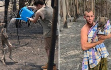 Những tin tức mát lòng giữa bão lửa kinh hoàng, thắp sáng thêm niềm tin và sự lạc quan cho người dân Úc