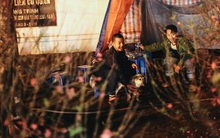 Ảnh: Dựng lều, thức trắng đêm trông đào, quất lộ thiên tại Hà Nội