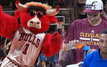 Choáng váng với tiền lương nghề "đưa nước", "hóa trang" tại giải đấu bóng rổ hấp dẫn nhất hành tinh: Sương sương cá kiếm hơn tỷ đồng một năm