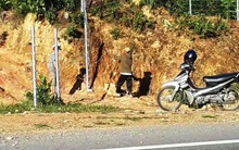 Hàng rào bảo vệ trên cao tốc 11.000 tỷ bị xé nát bươm