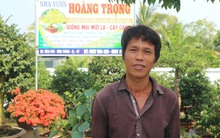 Giàu nhờ trồng mai tết