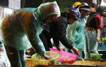 Ngày ông Công ông Táo, chợ cá lớn nhất Hà Nội cháy hàng cá chép từ rạng sáng