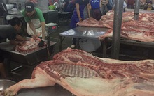 Giá thịt heo giảm, nhiều trại bán heo quá lứa