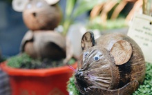 Dừa hình con chuột độc đáo ở Sài Gòn giá gần 1 triệu đồng, khách nườm nượp đặt hàng dịp Tết Canh Tý 2020