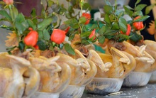 Người dân Hà Nội chen chúc mua gà luộc xôi gấc giá gần 1 triệu để cúng giao thừa, người bán sắp lễ không ngớt tay