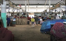 Chợ đầu mối lớn nhất Đà Nẵng đìu hiu trưa 30 Tết