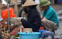 Dịch vụ bán và làm thuê gà cúng giao thừa ế ẩm, nhiều tiểu thương dọn hàng về sớm