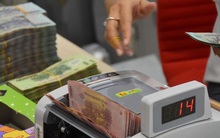 Các chuyên gia nói gì về lãi suất, tỉ giá trong năm Canh Tý?