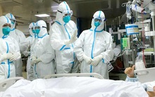 Hai trang web chính thức của y tế Việt Nam cập nhật dịch viêm phổi do virus corona