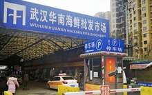 "Ông trùm" chưa học hết tiểu học và gia tộc bí ẩn đứng sau chợ hải sản Vũ Hán bị phát hiện virus nCov