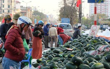 Tạm dừng thông quan nhiều cửa khẩu vì virus corona, dưa hấu quay đầu về Hà Nội bán rẻ?