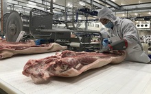 Đầu tư mạnh vào nông nghiệp: Các “đại gia” toan tính gì?