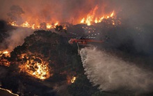 Mới tháng đầu tiên của thập niên mới 2020, thế giới đã phải gánh chịu liên tiếp thảm họa kép thiên tai và dịch bệnh