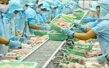 Xuất khẩu chưa quá khó