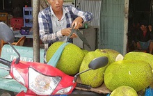 Nông sản miền Tây rớt giá thê thảm