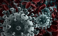 Đừng ngây thơ tham khảo kiến thức các “chuyên gia” ảo, hãy tham gia Lotus để có nguồn thông tin chuẩn xác nhất từ đội ngũ chuyên gia dày dặn kinh nghiệm!