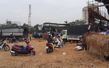 Người Sài Gòn 'giải cứu dưa' giúp nông dân Bình Định