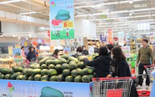 Nông sản ế ẩm nhưng không muốn bán trong nước