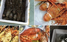 Cua hoàng đế, tôm hùm Alaska... cũng rớt giá vì dịch Covid-19