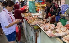 Giá gà công nghiệp xuống thấp kỷ lục, người nuôi lỗ nặng