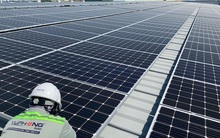 Trình Chính phủ phương án mua điện mặt trời theo giá cố định