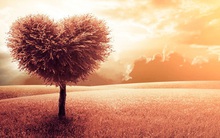 Ba điều trân quý không được phép buông bỏ nếu bạn mong cầu có được hạnh phúc thật sự: Tiền nhiều hay ít tuyệt không ảnh hưởng!