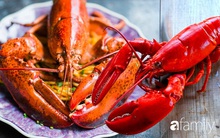 Chuyện ít ai biết về quá khứ "đen tối" của những con tôm hùm: Từ món ăn rẻ mạt có cho không cũng chả thèm thành thứ đồ sang chảnh trị giá bạc triệu/kg