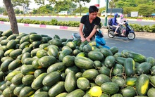 Chủ tịch Thaco: Đừng nói thái quá việc 'giải cứu'