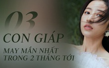 Tháng 3 cát tường, tháng 4 hoan hỷ, 3 con giáp này không phát tài phát lộc thì cũng gặp được nhiều may mắn, sự nghiệp thăng hoa