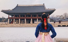 Doanh nghiệp lữ hành đóng cửa, nhân viên nghỉ việc vì dịch Covid-19