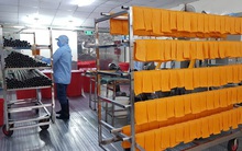 Dịch Covid-19: Xuất hiện bún dưa hấu siêu lạ, vừa ra lò đã xuất khẩu sang Hàn Quốc