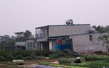Hà Nội 'lệnh' xử lý tình trạng nở rộ xây nhà trên đất nông nghiệp