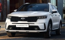 Loạt xe mới dự kiến được THACO ra mắt trong năm nay: Kia Sorento và Peugeot 508 thế hệ mới là 2 cái tên được mong chờ