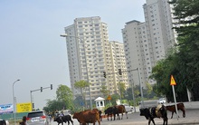 Thanh tra về đất đai loạt dự án bất động sản 'khủng' ở Hà Nội