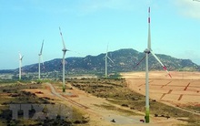 Điện gió bùng nổ, công suất vượt quy hoạch: Nỗi lo truyền tải