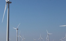 Tin vui từ điện gió Bạc Liêu