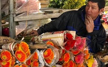 Doanh thu giảm 80%, tiểu thương chợ hoa Quảng An chỉ dám nhập cầm chừng