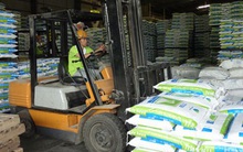 Việt Nam tăng nhập hàng Mỹ