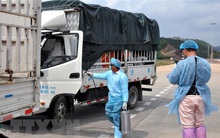 Bàn giải pháp khôi phục kinh tế thương mại Việt Nam-Trung Quốc