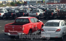 Bất chấp dịch Covid-19, hơn 10.000 ô tô vẫn cập cảng Việt Nam