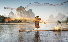 5 việc người khôn ngoan không bao giờ làm để tránh rước họa hại thân: Ai cũng nên biết để tránh