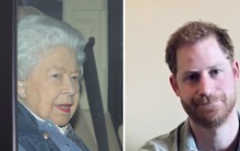 Vợ chồng Nữ hoàng Anh bắt đầu cách ly phòng dịch Covid-19, Hoàng tử Harry đăng video nói lời xin lỗi về sự kiện sắp tới